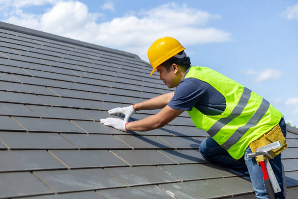 Best Roofing Contractor Near Me  in Palmyra, WI