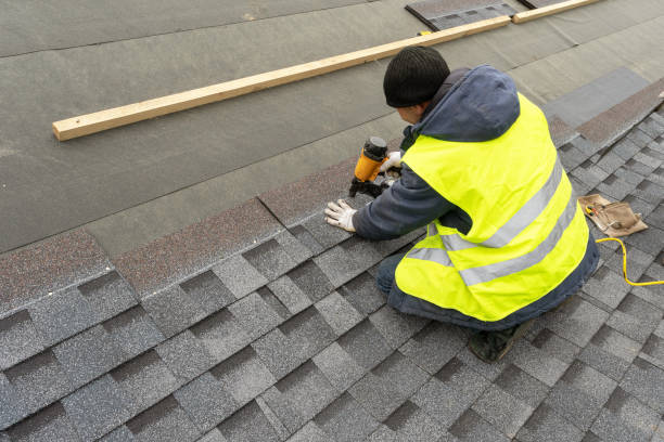 Best Roof Gutter Cleaning  in Palmyra, WI