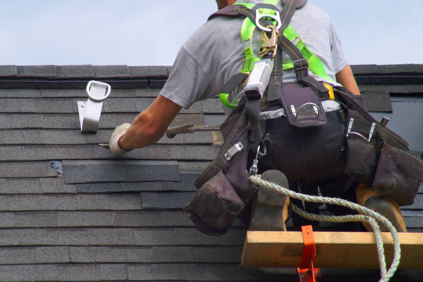 Best Roof Gutter Cleaning  in Palmyra, WI