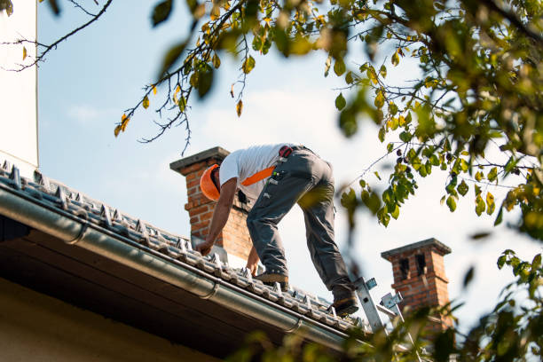 Best Roof Repair Services  in Palmyra, WI