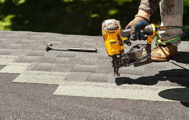 Best Roofing Contractors for Homes  in Palmyra, WI